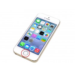 [Réparation] Nappe de Bouton HOME Blanc / Argent ORIGINALE - iPhone 5S à Caen