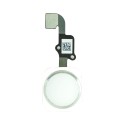 Nappe de bouton HOME Blanc / Argent Complète + Touch ID ORIGINAL - iPhone 6 / iPhone 6 Plus