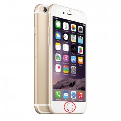 [Réparation] Nappe de Bouton HOME Blanc / Or ORIGINALE - iPhone 6 Plus à Caen